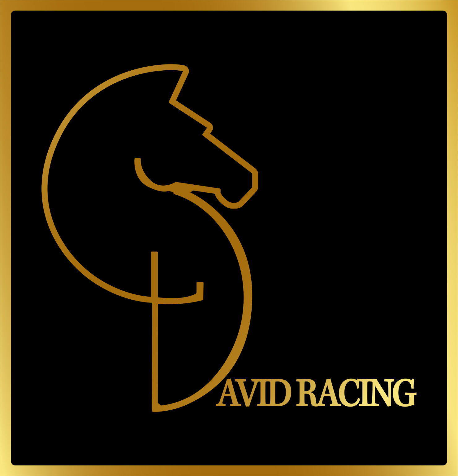 David Racing