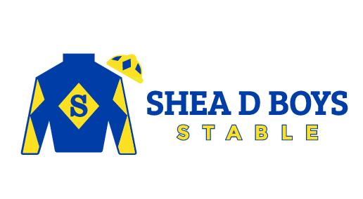 Shea D Boys Stable