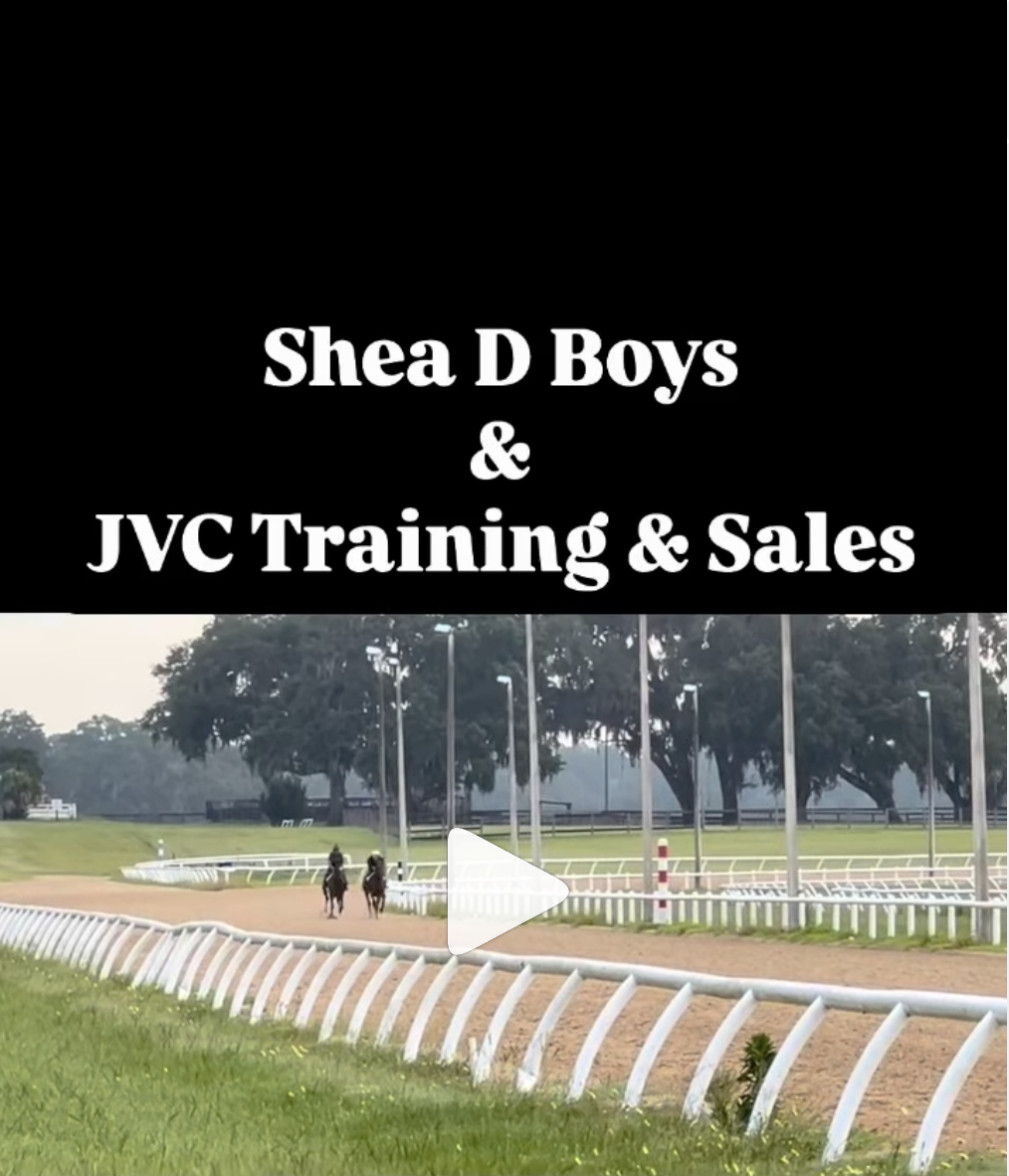 Shea D Boys training at Nelson Jones