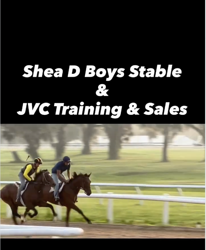 Shea D Boys and JVC Training and Sales