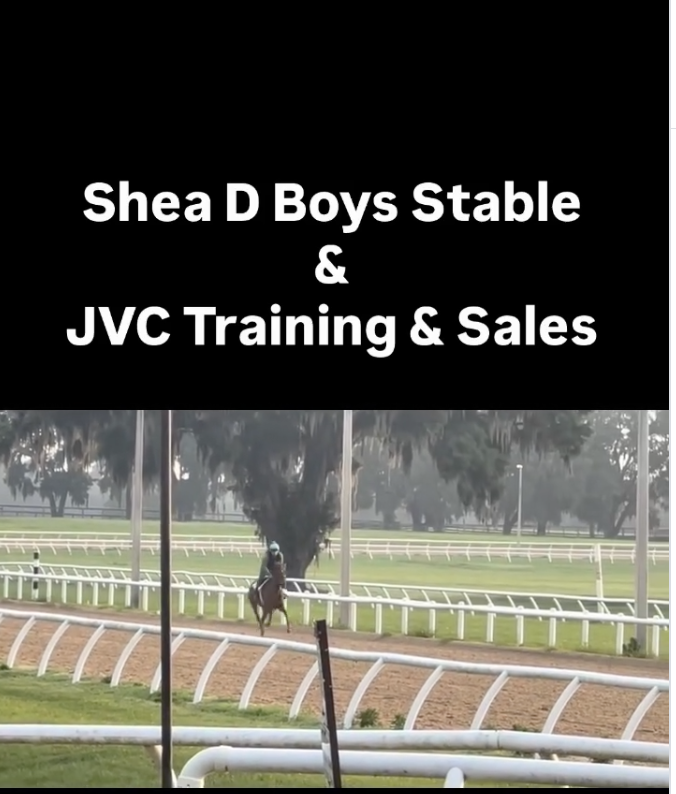 Shea D Boys Stable social post