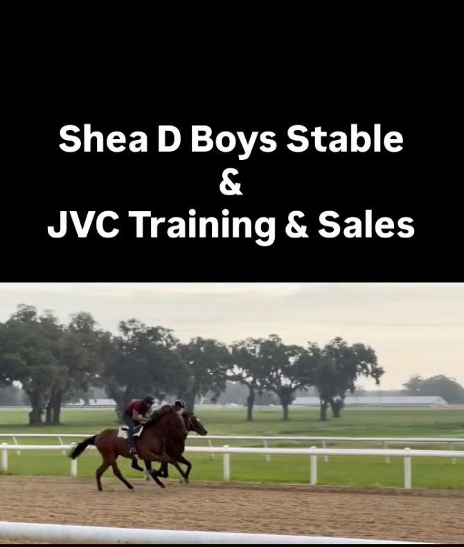 Shea D Boys Stable social post