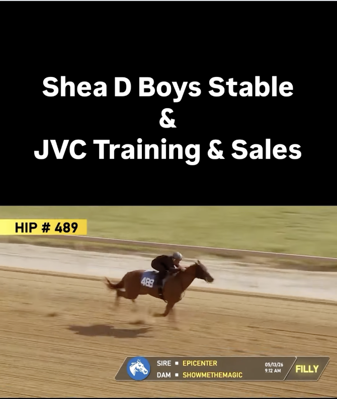 Shea D Boys Stable social post