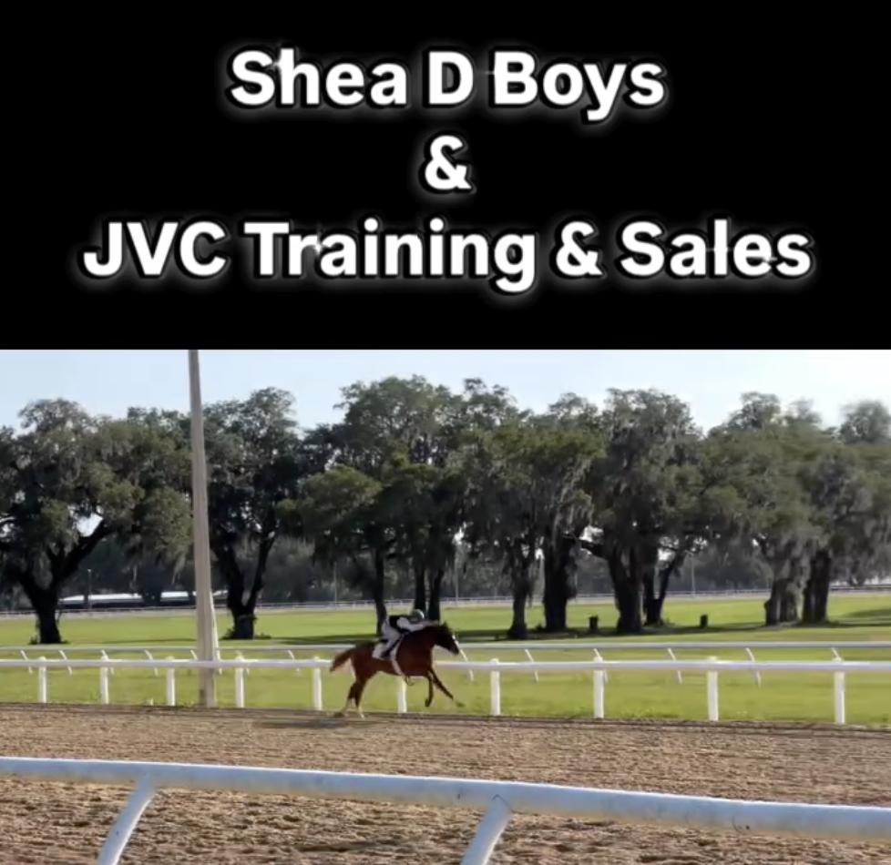 Shea D Boys Stable social post