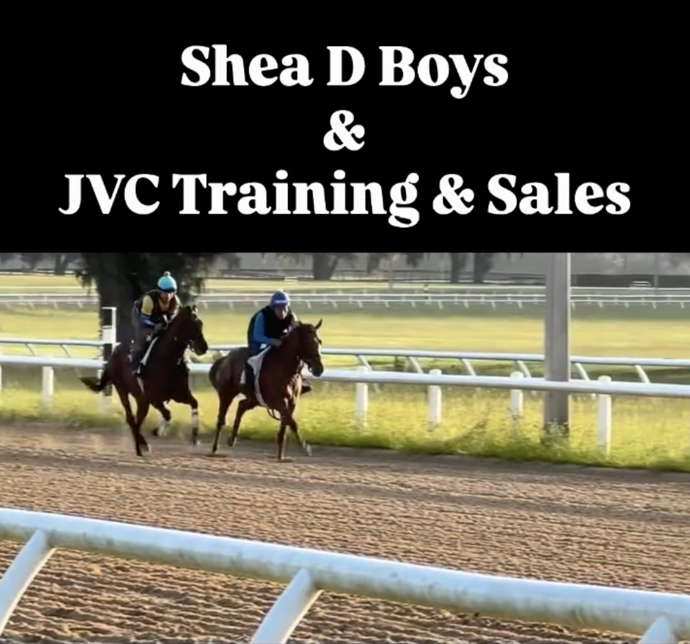 Shea D Boys Stable social post